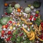 food-waste